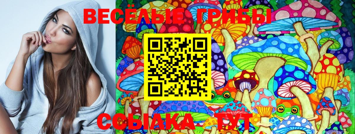 Мурино  Псилоцибиновые грибы Psilocybine cubensis  Псилоцибиновые грибы Cubensis  Вход с VPN 